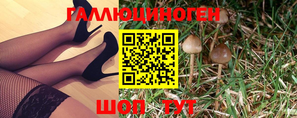 Галлюциногенные грибы ЛСД  Вход с VPN  Ейск 